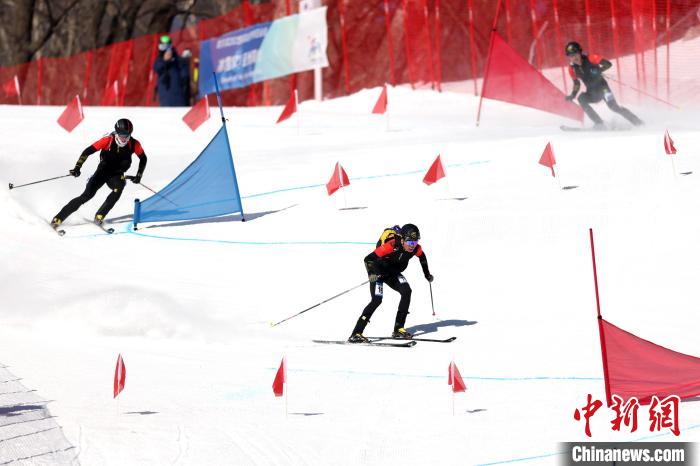 三幕温情叙事照亮哈尔滨亚冬会：拥抱突破、跨